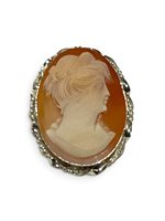 Spilla Mandile 1922 Donna Cammei  in Argento Conchiglia 2MSPCM30.1.26